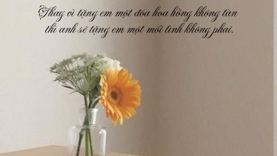 Tổng hợp 999 cap hay về hoa, câu nói ý nghĩa sâu sắc về hoa cho những tâm hồn mơ mộng 4 Hoa được ví như sứ giả của tình yêu giúp gửi trao yêu thương