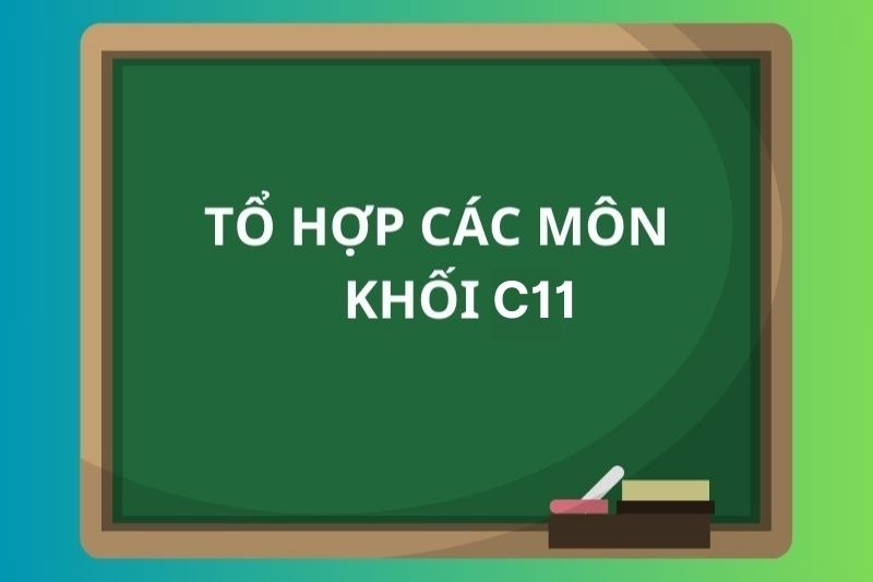 Khối C11 là gì Gồm những môn nào ngành nào học trường nào