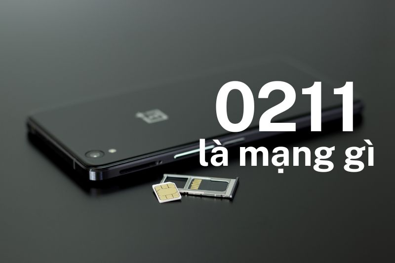 0211 là mạng gì ảnh 1