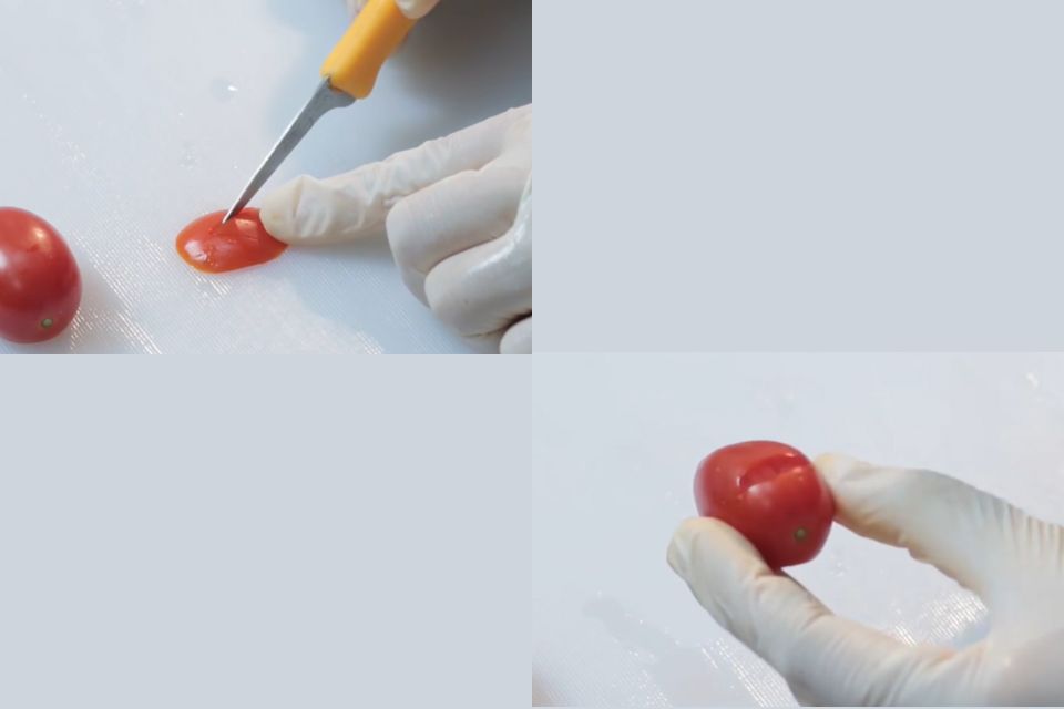 Dùng dao nhọn khứa một đường chéo ngang từ trên xuống dưới
