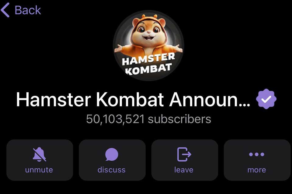 Hamster Kombat - 08