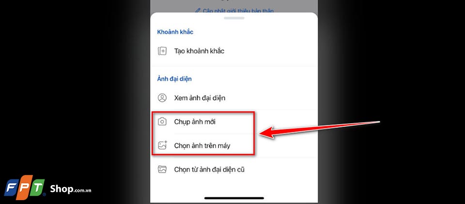 Ảnh đại diện Zalo mặc định - 07