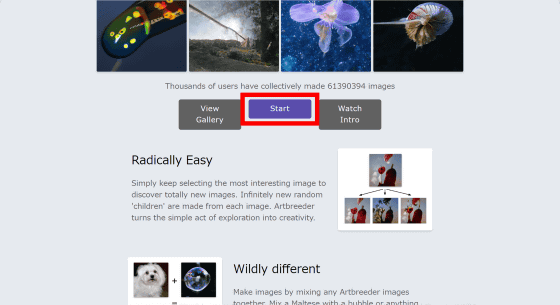 Artbreeder 6