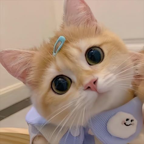 Avatar đôi hình con vật dễ thương