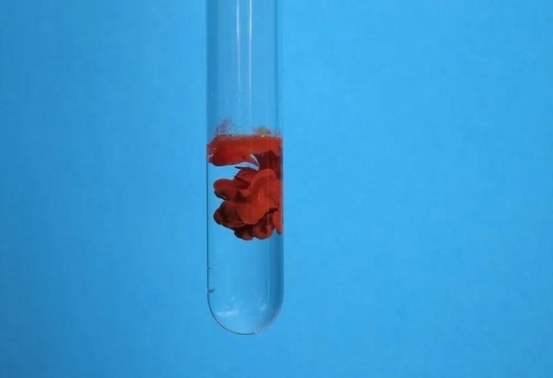 Bảng tính tan ảnh 9