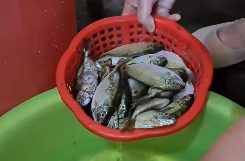 Sơ chế cá kình
