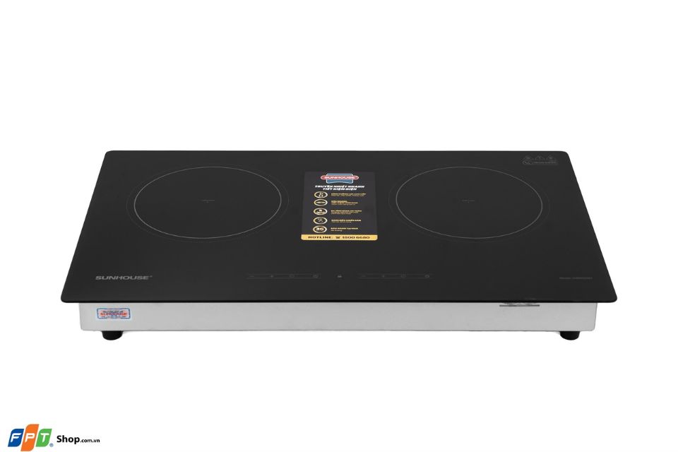 bếp từ đôi loại nào tốt 2025 (ảnh 4)