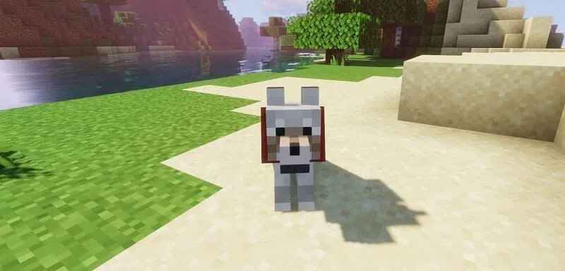 cá nóc Minecraft hình 4