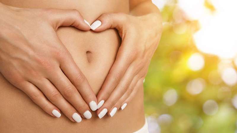 các loại rau húng ảnh 1