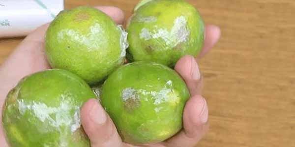 cách bảo quản chanh trong tủ lạnh 3