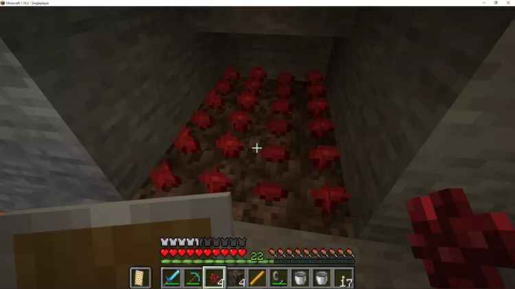 cách chế thuốc kháng lửa trong Minecraft hình 11