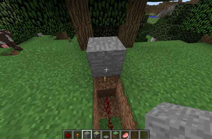 cách làm cửa tự động trong Minecraft hình 4