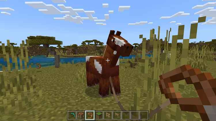 cách làm dây thừng trong Minecraft hình 1