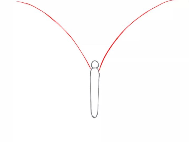 cách vẽ con bướm 2