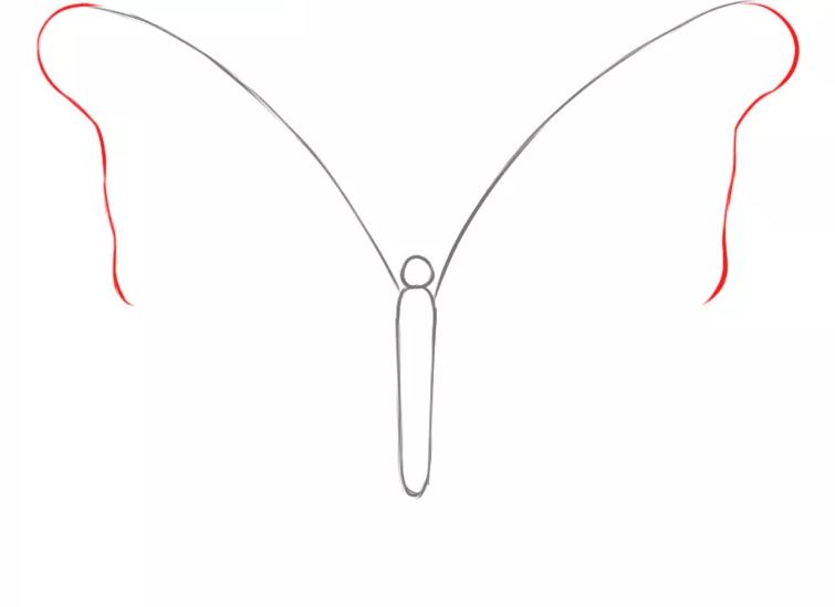 cách vẽ con bướm 3