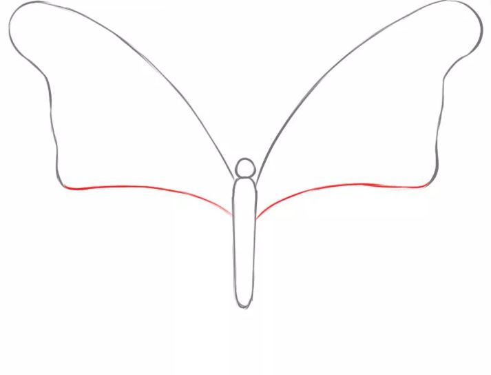 cách vẽ con bướm 4
