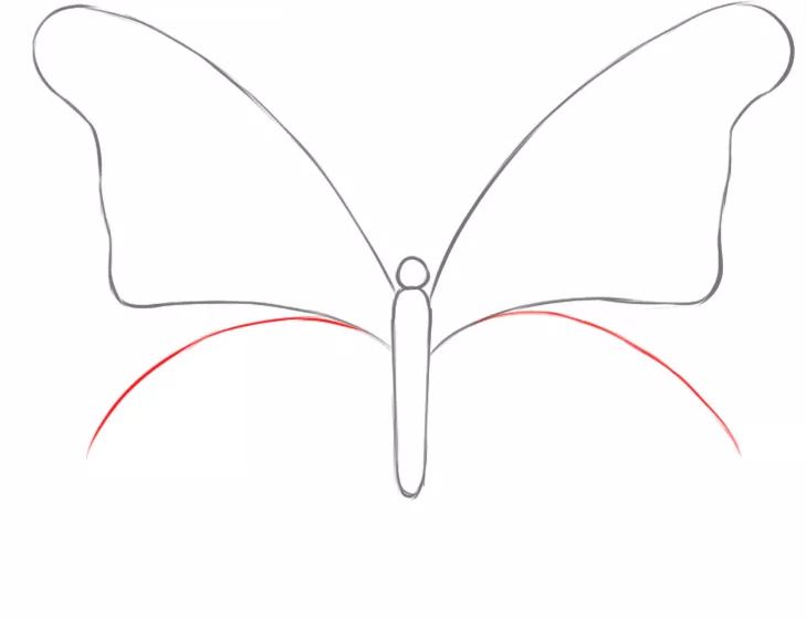cách vẽ con bướm 5