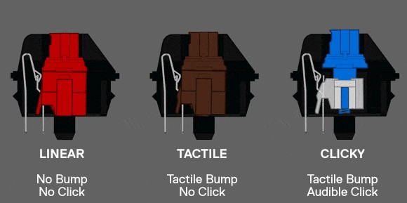 Cấu tạo bàn phím cơ 6