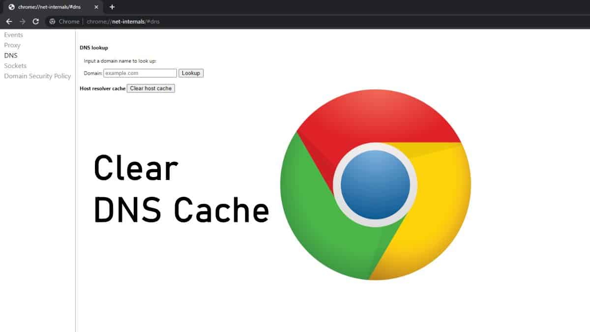 chrome://net-internals/#dns hình ảnh 3