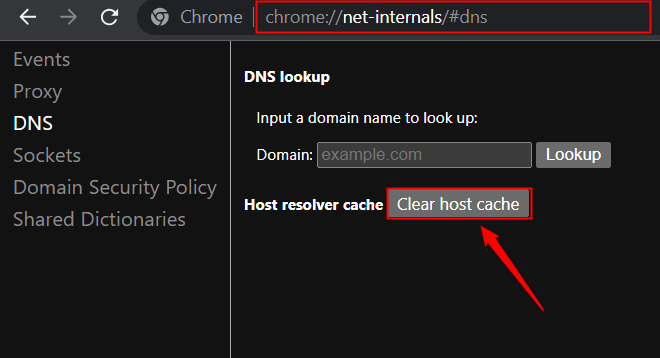 chrome://net-internals/#dns hình ảnh 9