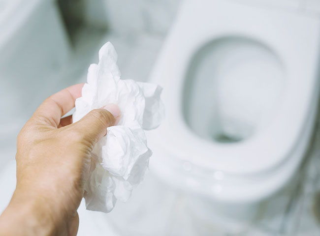 Có nên bỏ giấy vệ sinh vào bồn cầu không 1