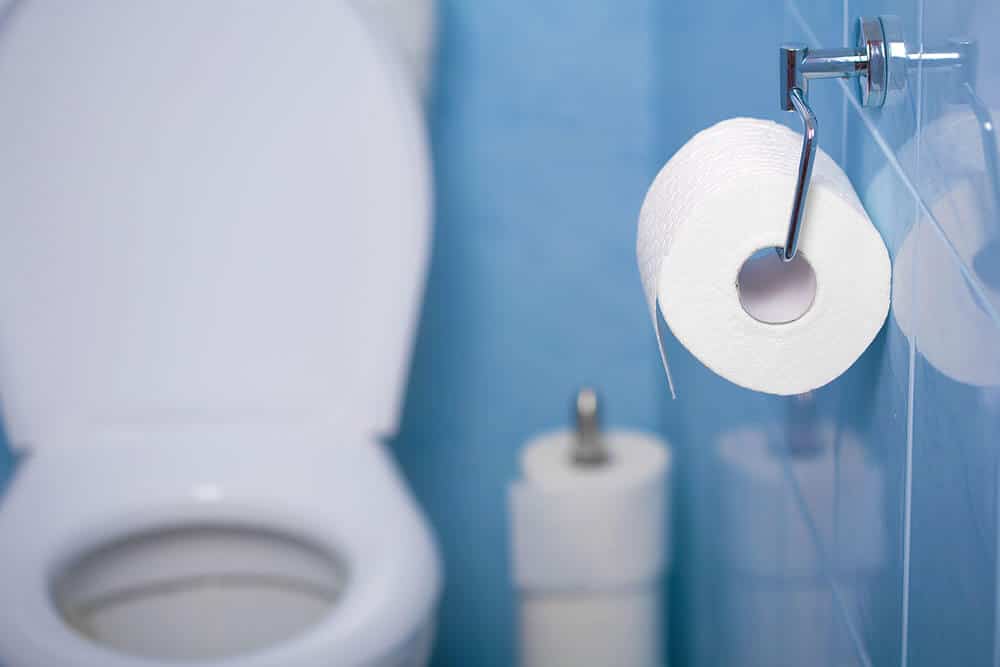 Có nên bỏ giấy vệ sinh vào bồn cầu không 2