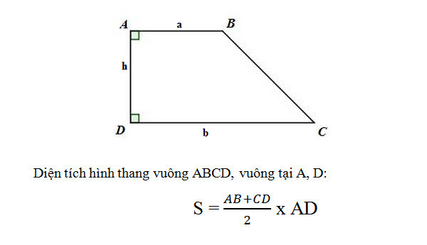 4. Ví Dụ Minh Họa Tính Diện Tích Hình Thang Vuông