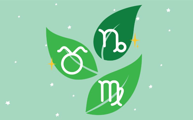 Đặc điểm chung của cung Đất