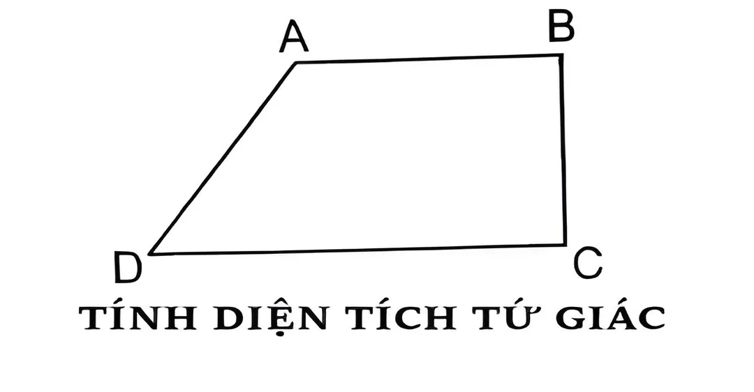 Diện tích hình tứ giác ảnh 3