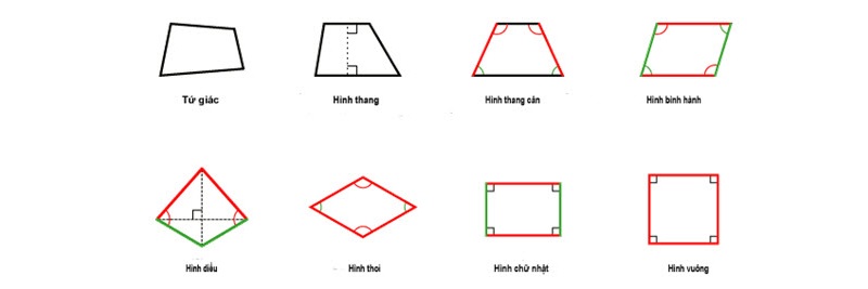 Diện tích hình tứ giác ảnh 8