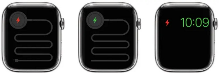 Apple Watch sạc không vào pin - ảnh 2