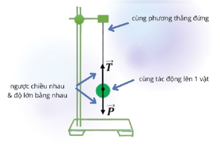 hai lực cân bằng là gì 3