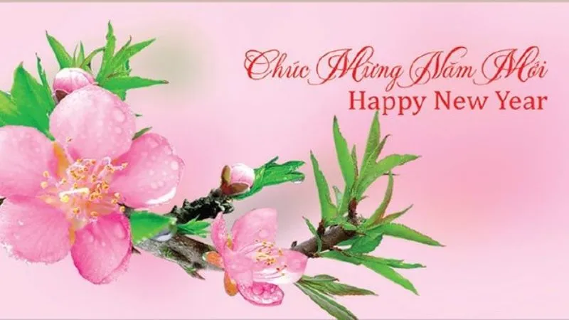 hinh-anh-chuc-mung-nam-moi-2026-11.jpg