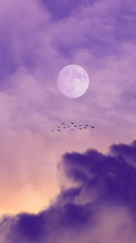 hinh-nen-thien-nhien-cho-dien-thoai-23.png