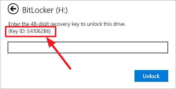 Lỗi Bitlocker Recovery Win 11 - ảnh 3