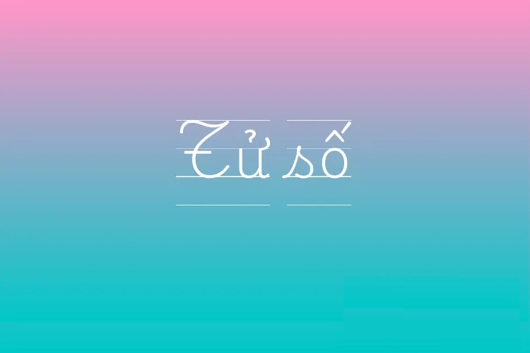mẫu số là gì 5