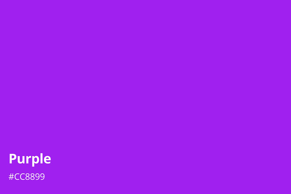 màu tím được gọi là purple