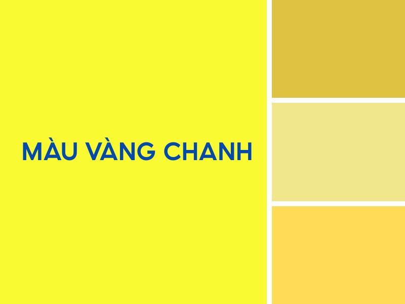 mau-vang-chanh-phoi-voi-mau-gi-1.jpg