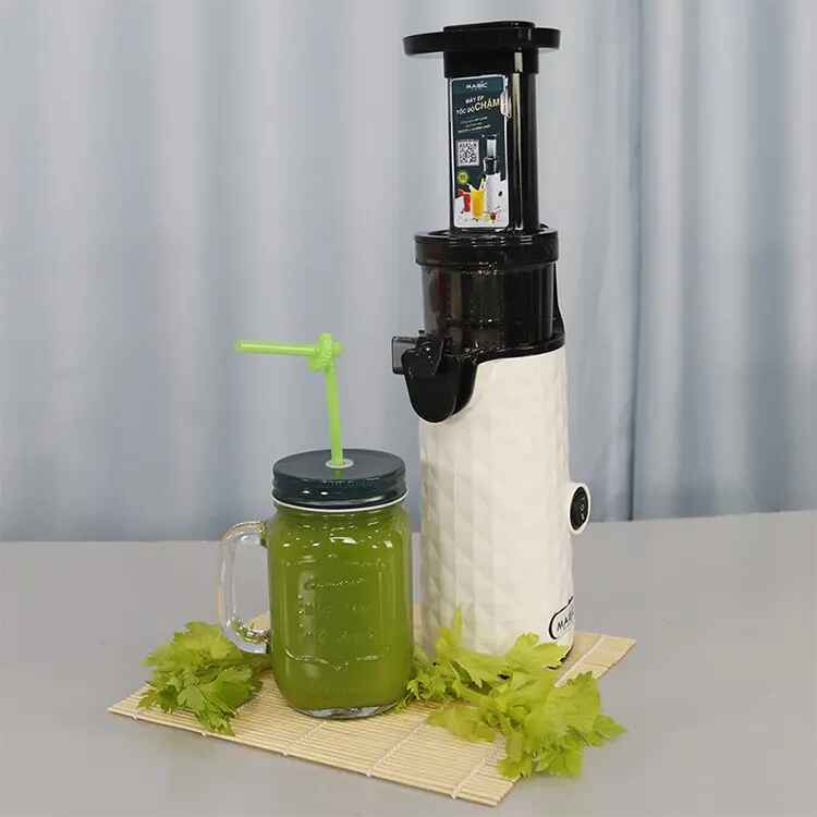 máy ép chậm mini hình 1