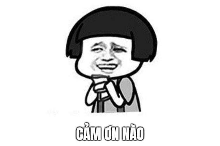 meme cảm ơn-13.jpg