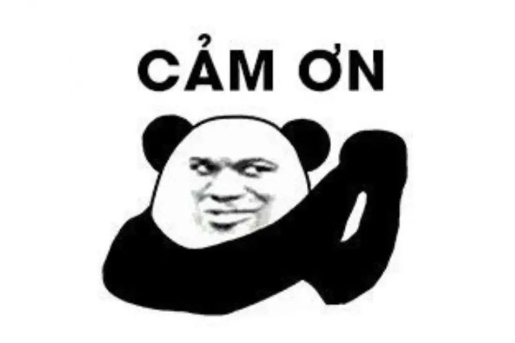 meme cảm ơn-16.jpg