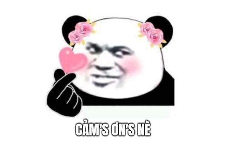 meme cảm ơn.jpg