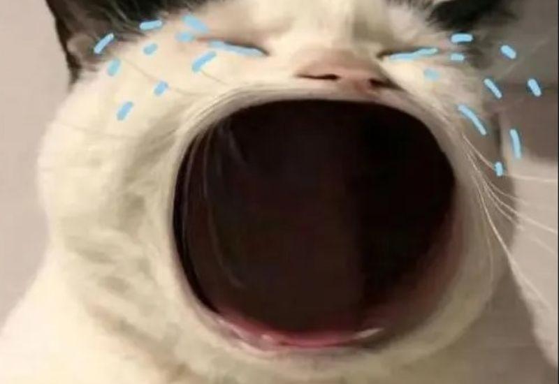 Meme dỗi ảnh 19