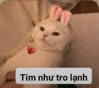 meme trầm cảm-8.jpg