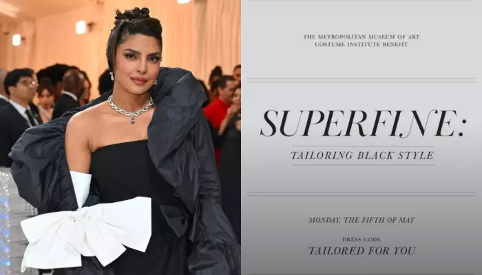 Met Gala là gì (ảnh 8)