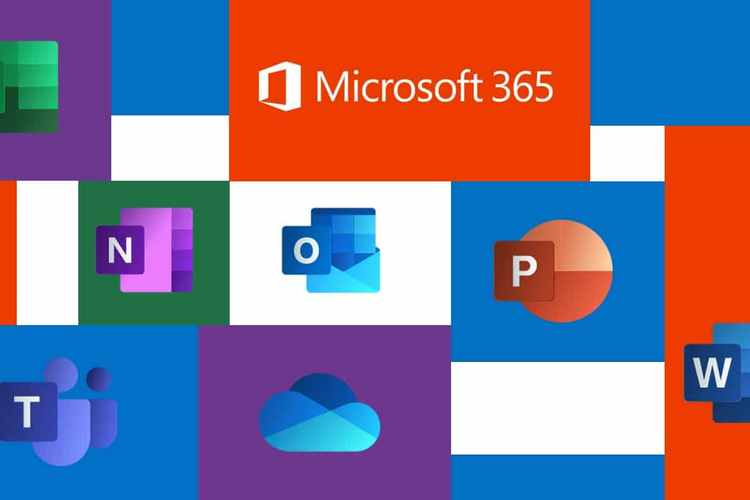Microsoft 365 trên laptop Windows 11 - hình 4