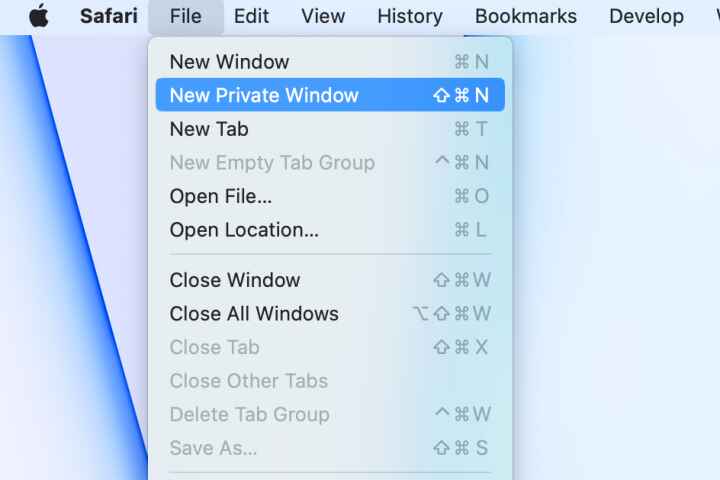 mở tab ẩn danh trên Safari MacBook hình 3