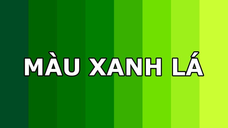 Năm 2026 tuổi Tỵ hợp màu gì 3
