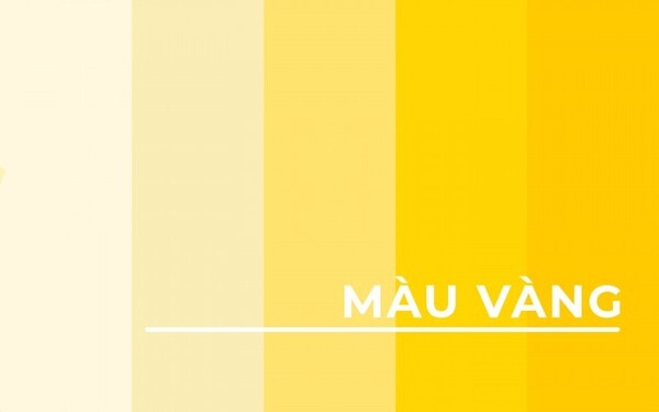 Năm 2026 tuổi Tỵ hợp màu gì 5