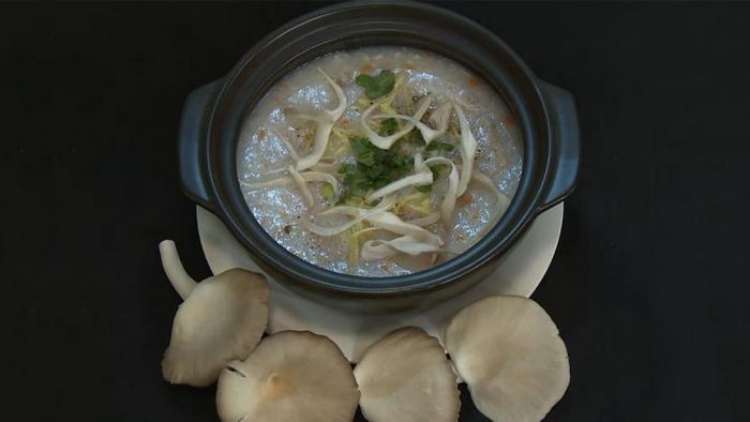 nấm bào ngư xám ảnh 5